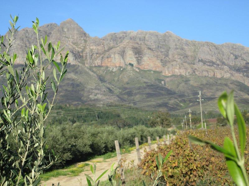 0 Bedroom Property for Sale in Wellington Western Cape